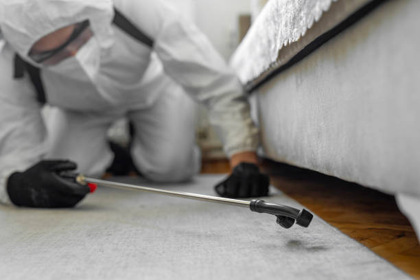 Professional Bed Bug Control technician working in Atchison County County, MO